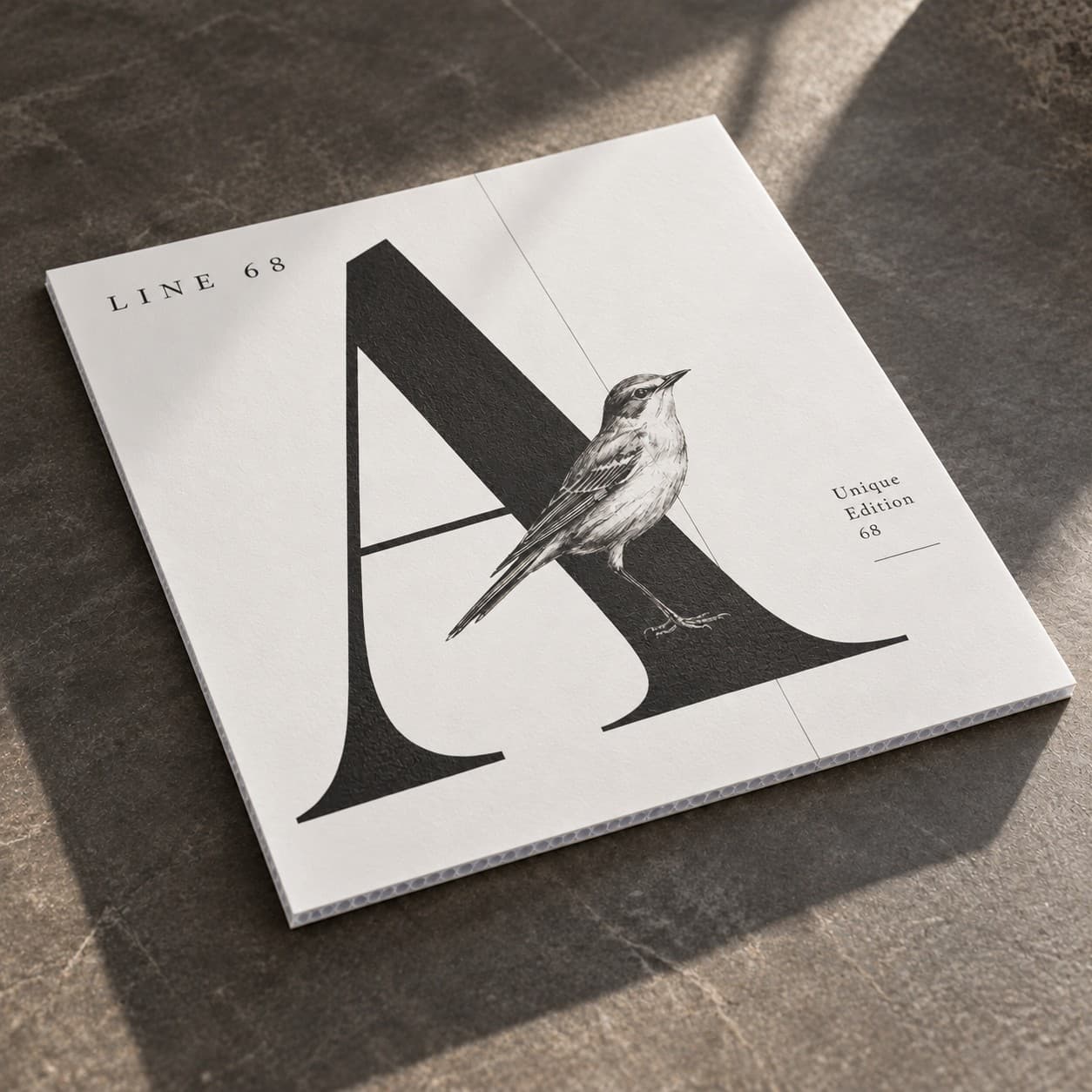 Bubble Boards — charcoal typographic specimen with large letter A, with a bird