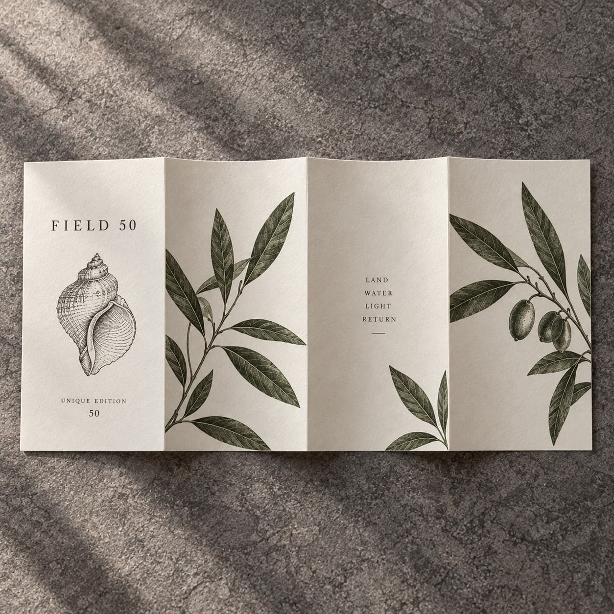 Roll Fold Leaflets — forest green pressed olive leaf illustration, with a shell