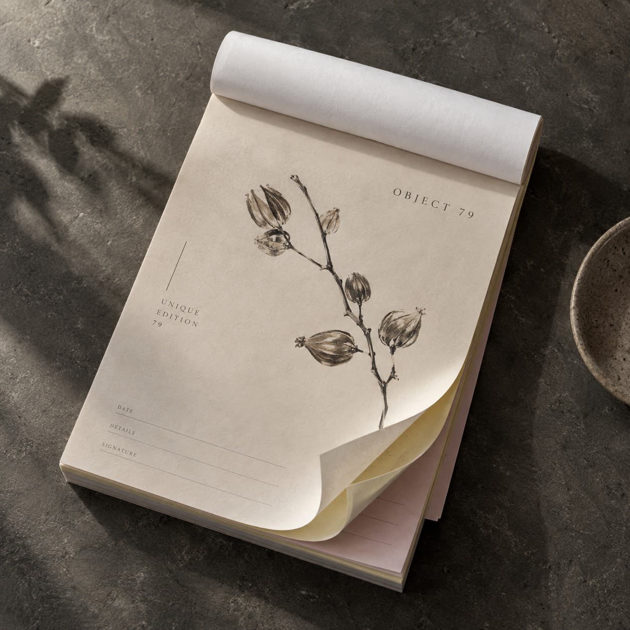 NCR Pads — taupe minimalist botanical seed pod, with a branch