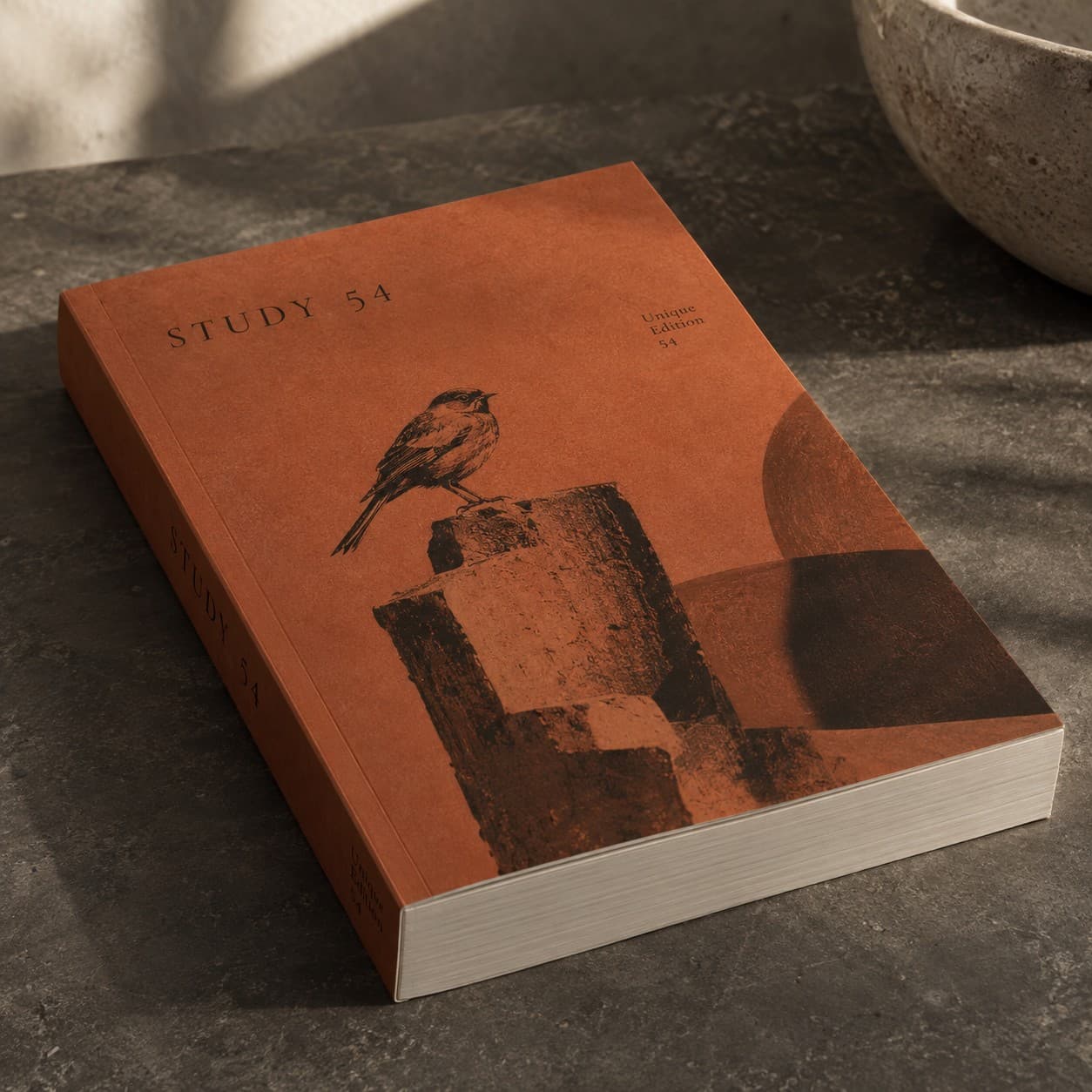 Paperback Books — burnt orange sculptural still life composition, with a bird