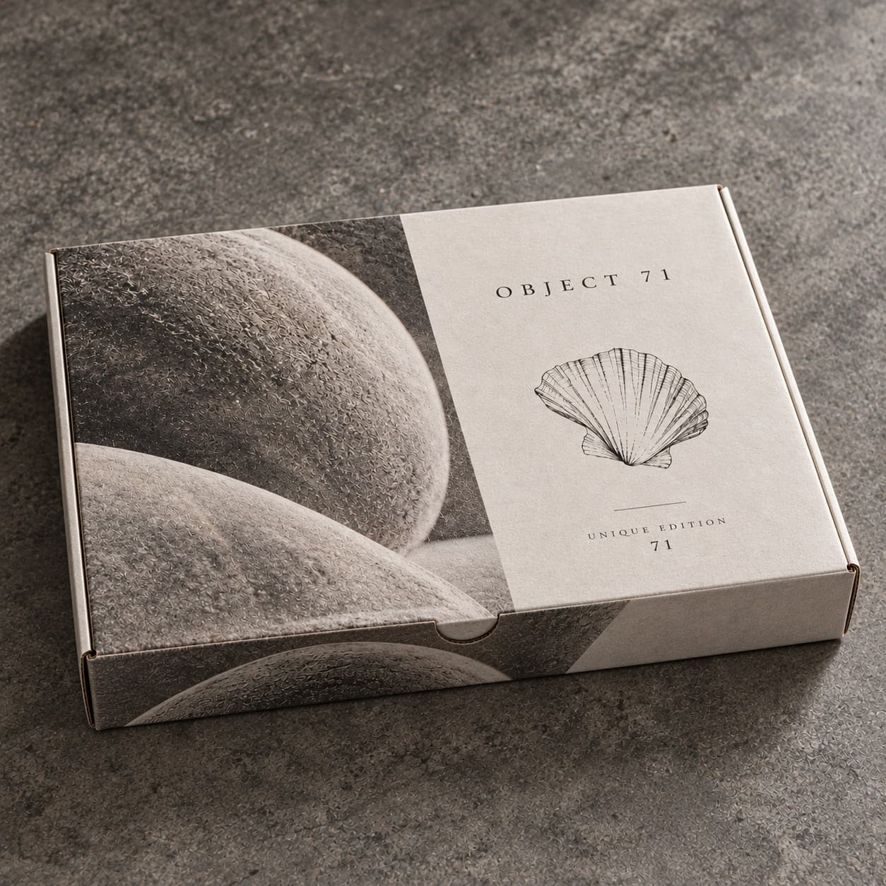 Gift Boxes — warm grey sculptural pebble photograph, with a shell