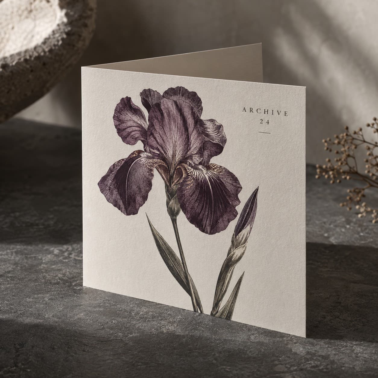Greetings Cards — aubergine hand drawn iris flower
