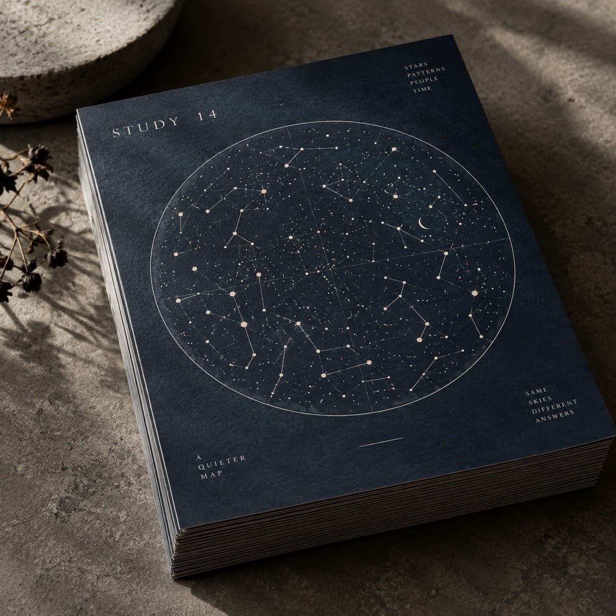 Recycled Flyers — navy constellation star chart