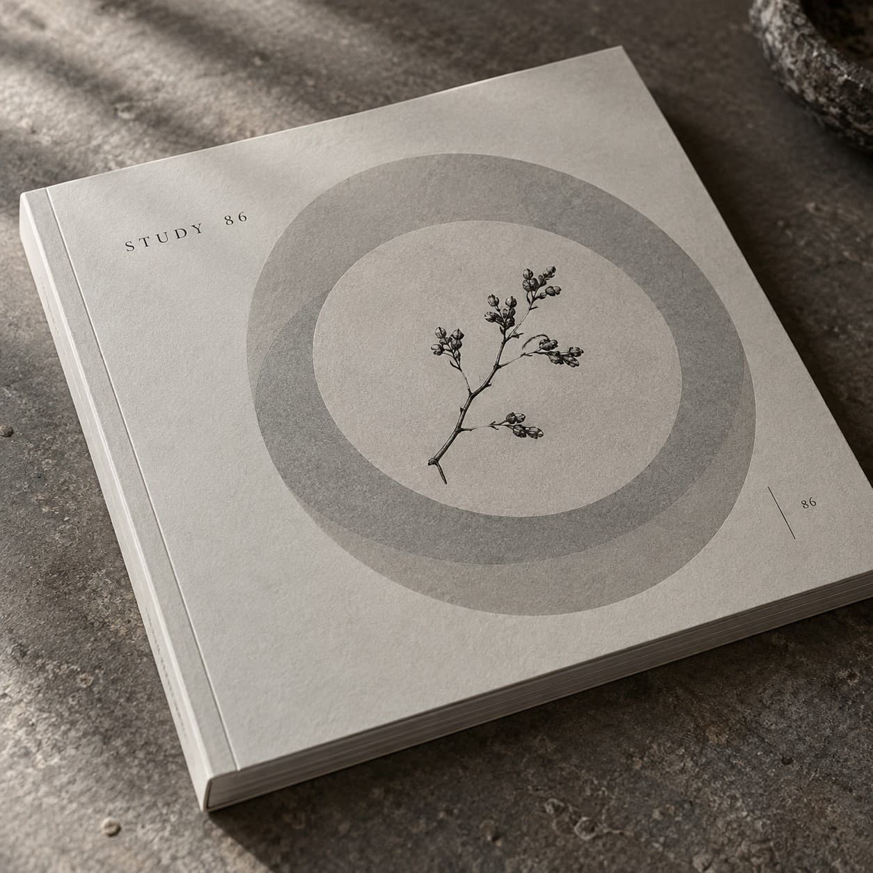 Softcover Layflat Books — dove grey concentric circle composition, with a branch